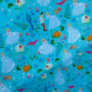 Glass Slipper 015 Canvas Fabric Sheet