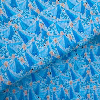 Frozen 034 Canvas Fabric Sheet