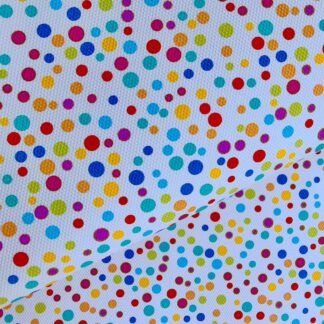 Pudsey 003 Canvas Sheet