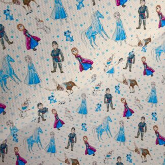 Frozen 004 Canvas Fabric Sheet