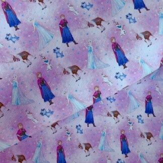 Frozen 043 Canvas Fabric Sheet