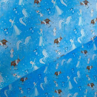 Frozen 046 Canvas Fabric Sheet