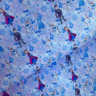 Frozen 045 Canvas Fabric Sheet