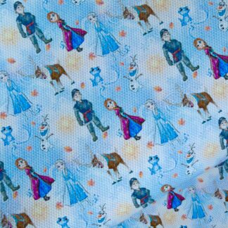 Frozen 044 Canvas Fabric Sheet